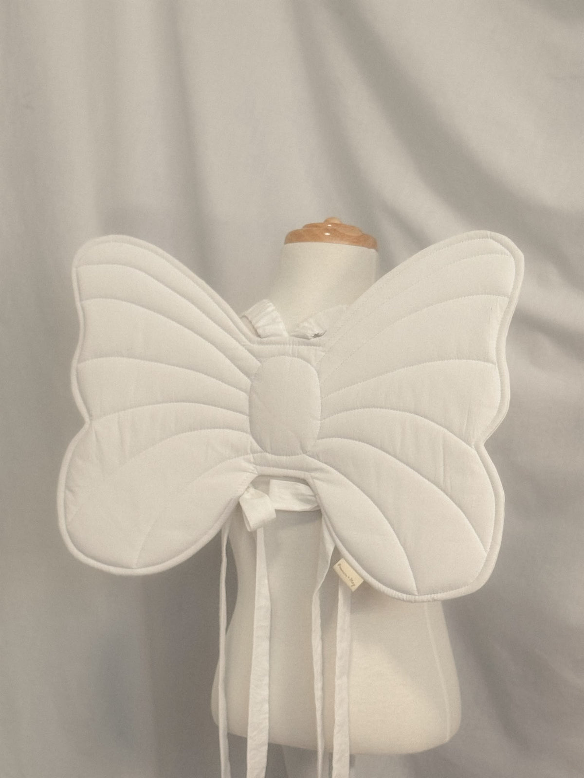 Colour Me Wings