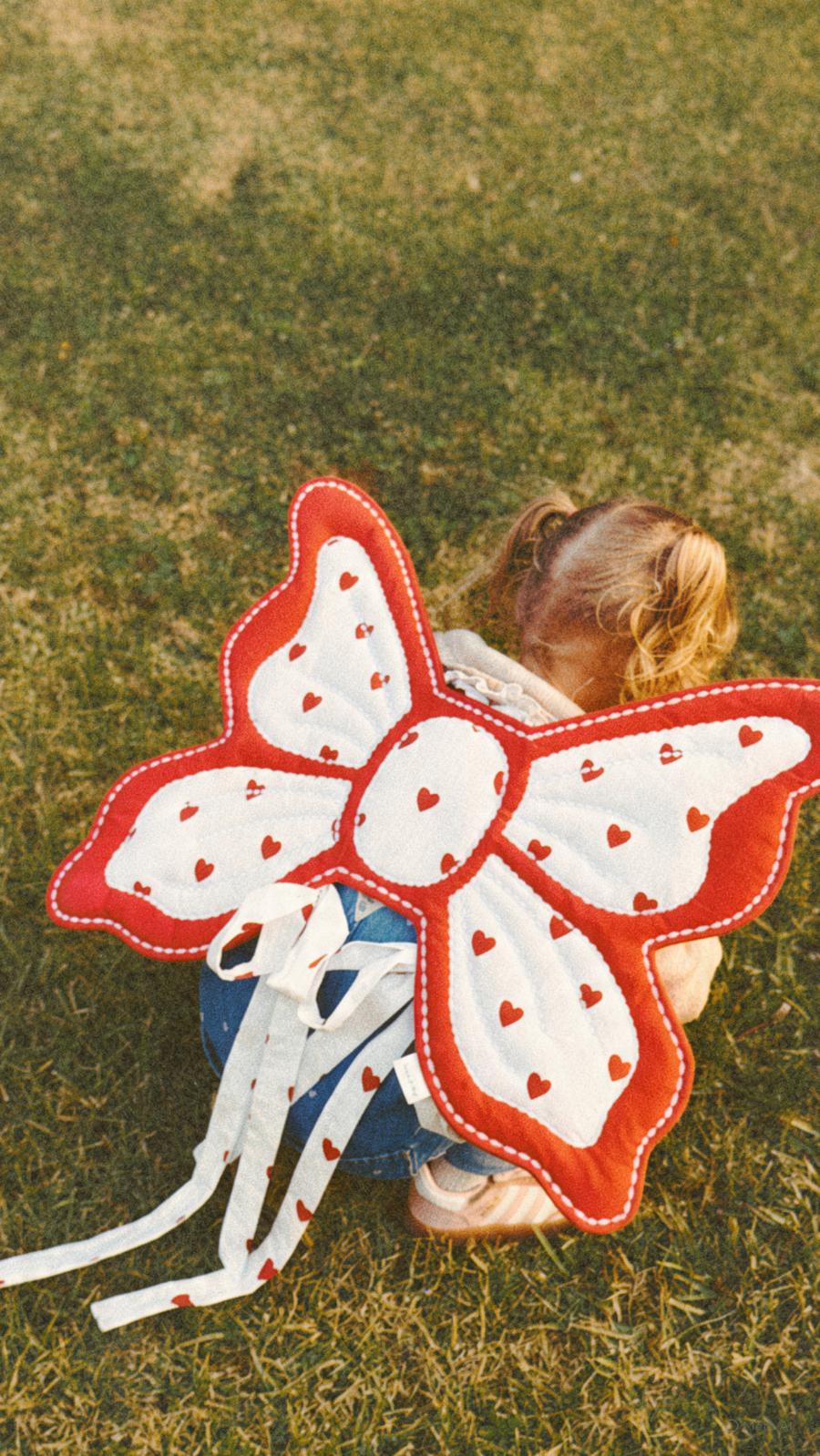 Custom Wings